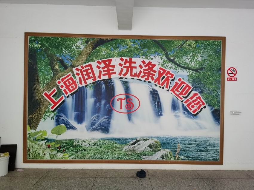Washing plant